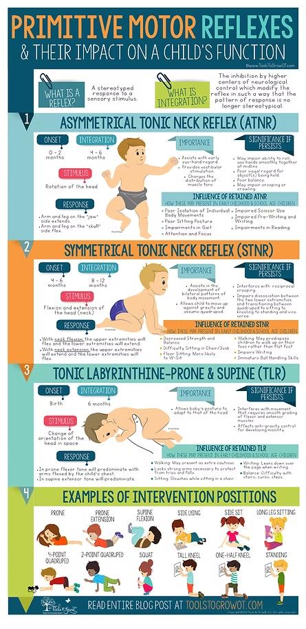 Primitive Motor Reflexes & Their Impact on a Child's Function infographic