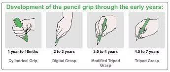 Development of pencil grip through the early years infographic